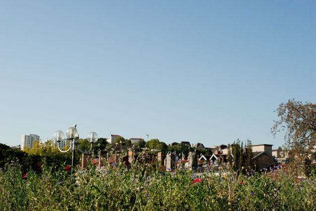 ALM0005-2011CL081.JPG