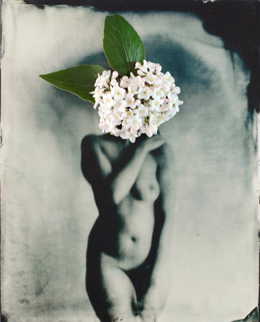 FLOWERS_1_014.JPG