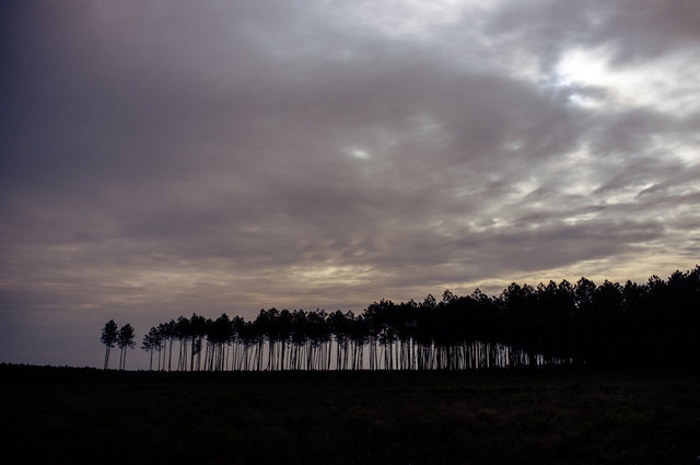dw-20130610-171-2.jpg