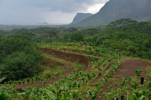 Waimanalo land on Oahu leased by Hawaiian sovereignty movement