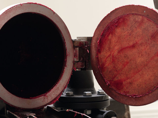 Anish Kapoor