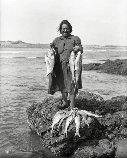 SHORPY_FL16656918.jpg