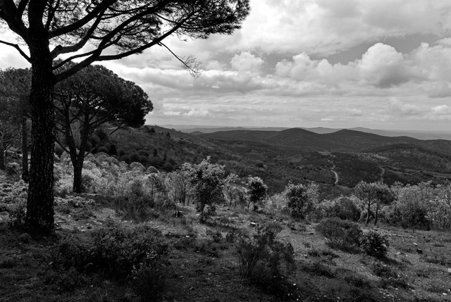 Paysage d'Estremadure près de Monesterio