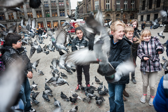 20121109-Duivendam.jpg