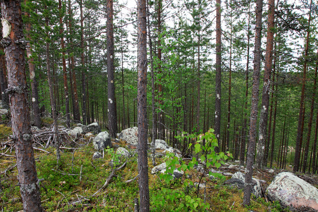 _MG_5702.jpg