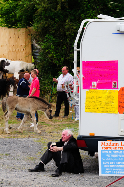 Horse Fair, Spancilhill, Ennis