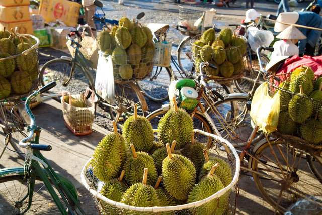 Jackfruit