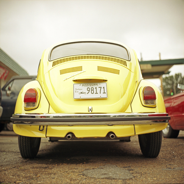 01_Yellow Beetle