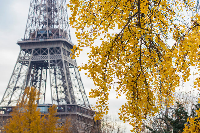 Autumn eiffel tower
