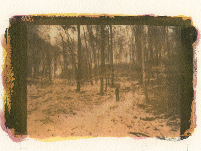 Allein im Kyffhauser Wald