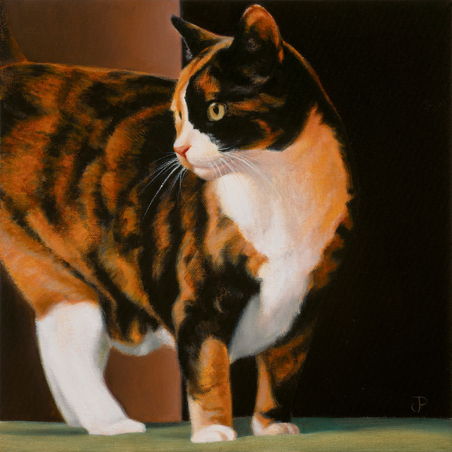 Breed: Calico / "Miss Kity"