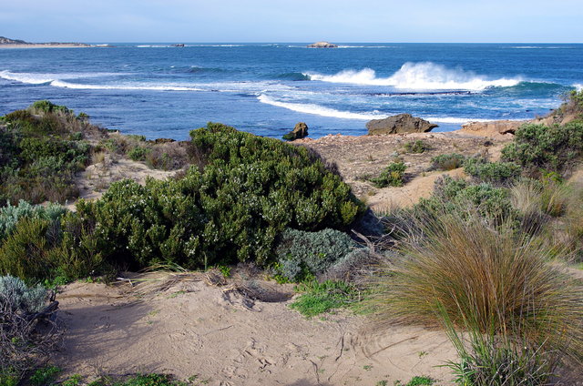 West Beach Lookout, Robe, Day (8) VB.JPG