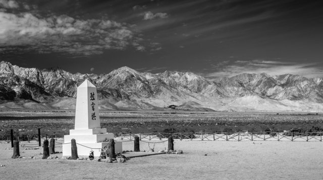 Sole Consoling Tower