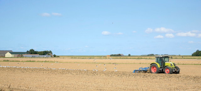 noordpolder