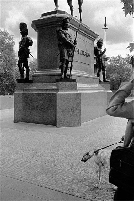 Woman with Dog