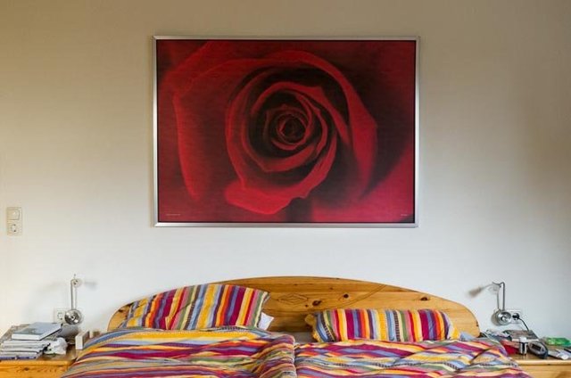 Red Rose, Germany