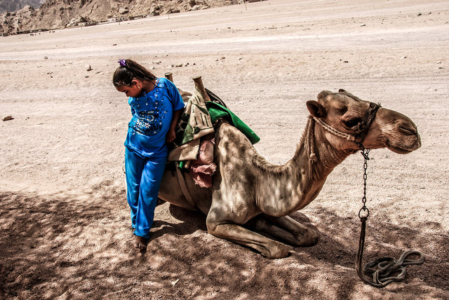 Bedhu Girl & Camel.jpg