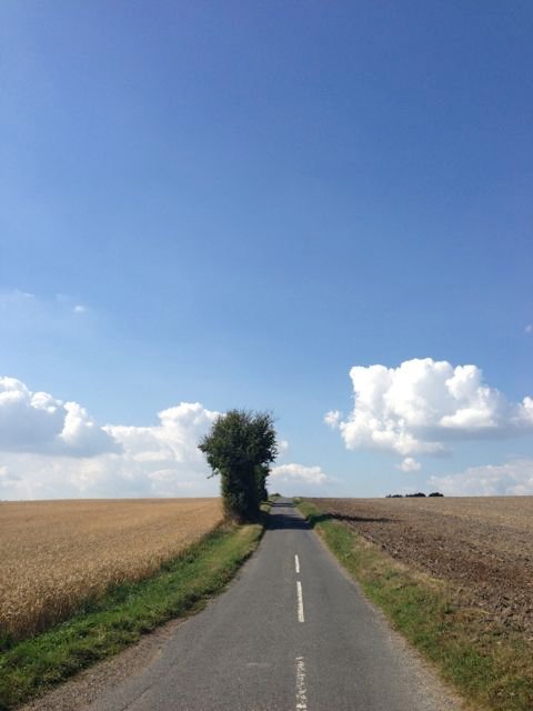 Road Trip