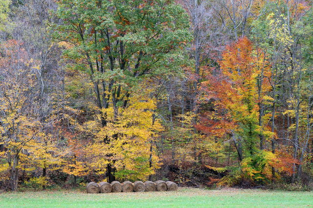 Autumn, southern Ohio