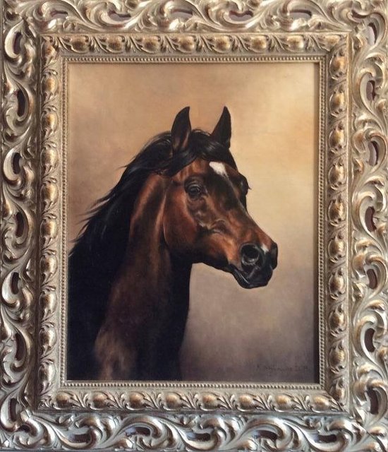 Portret konia 41x31,5 olej deska