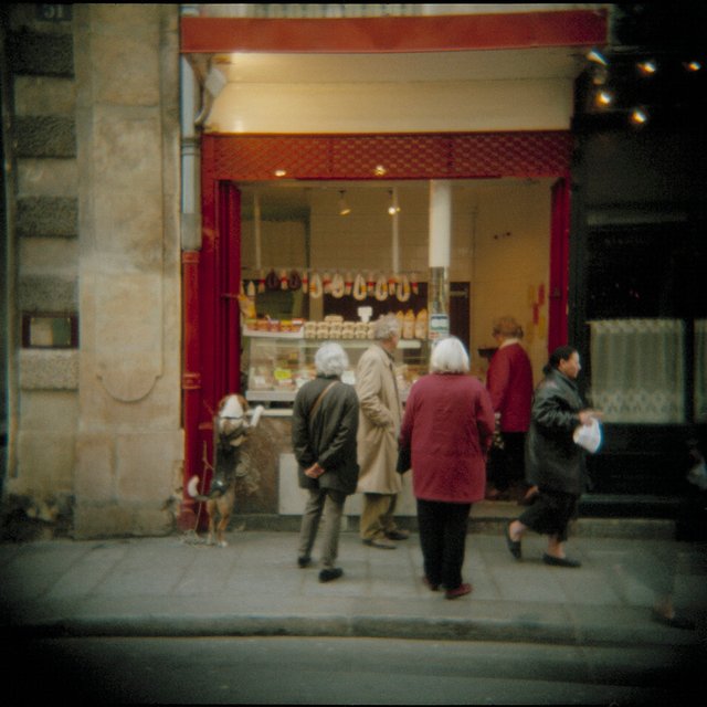 Holga France 70 #01-03_#3_DogButcherWindow