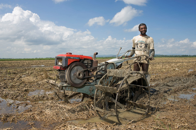 Platteland, Dominicaanse Republiek
