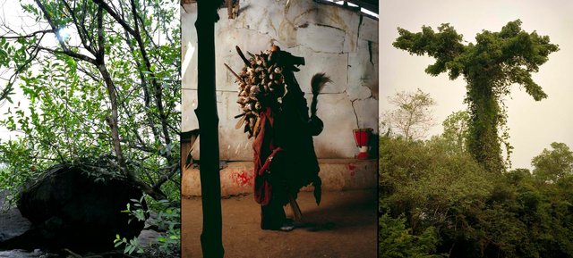 Sierra Devils - Firestone 02