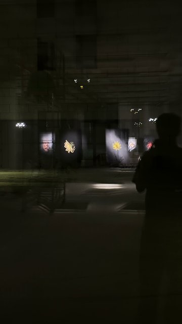 WhatsApp Image 2025-11-30 at 11.52.54.jpeg