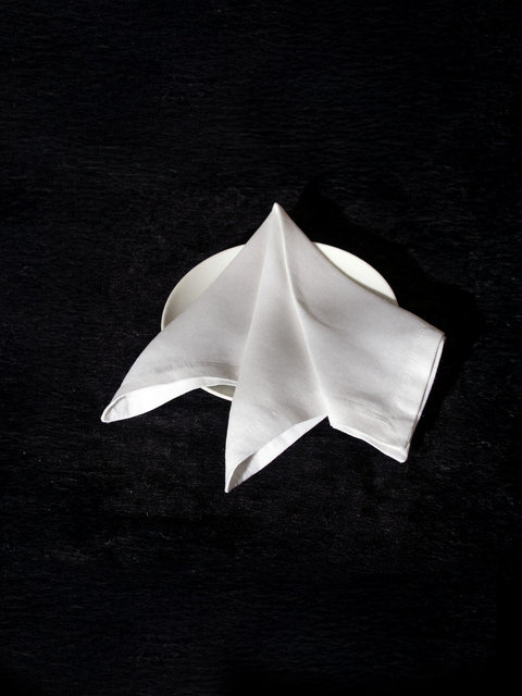 Napkin hd.jpg