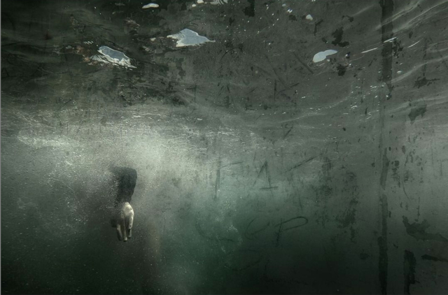 You are now entering the Anthropocene