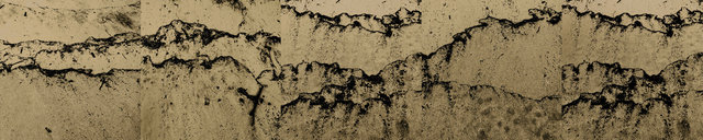 How to lose a whole forest (detail)