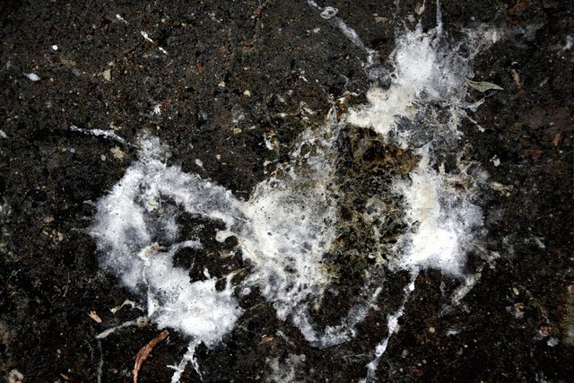 street constellations