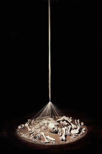 Threshold 2008