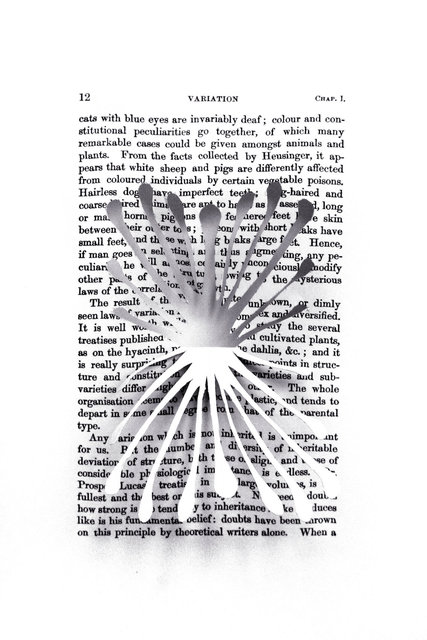 A Brief History of Time (detail)