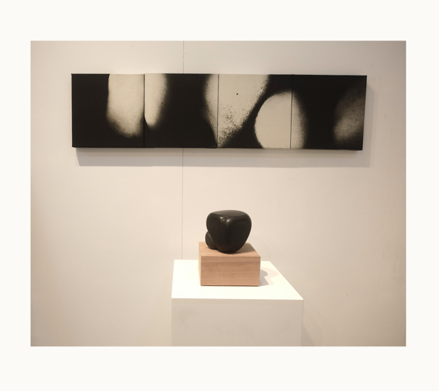 Installation view of the exhibition Skin 2025                         Clara Street Gallery, Sydney 
