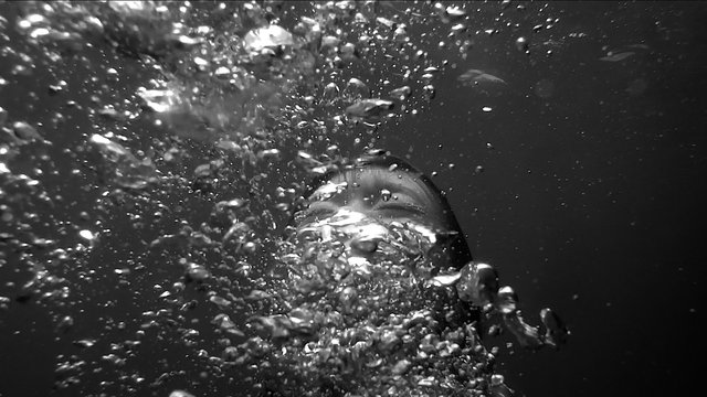 You are now entering the Anthropocene