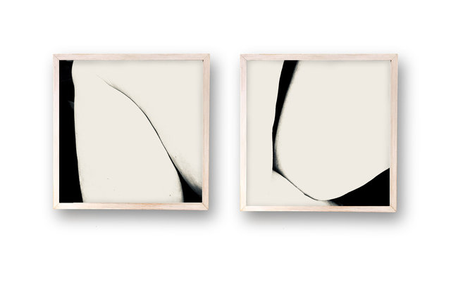 Domestic landscape 7 (diptych)