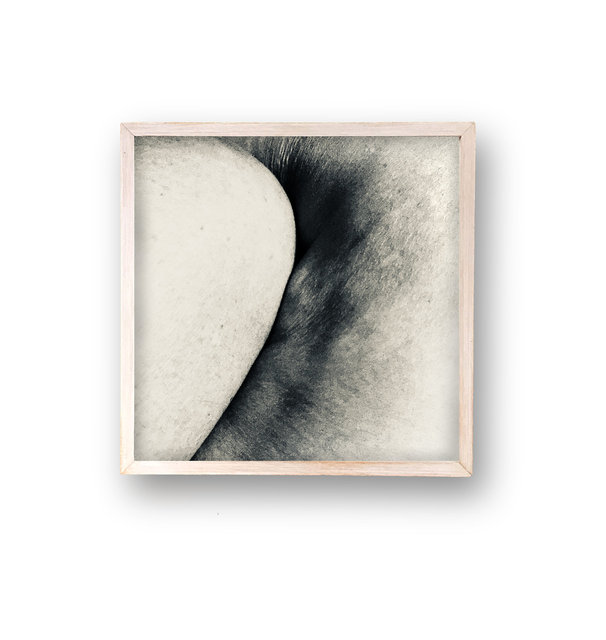 Domestic landscape 11 2020