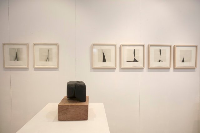 Installation view of the exhibition Skin 2025                         Clara Street Gallery, Sydney 