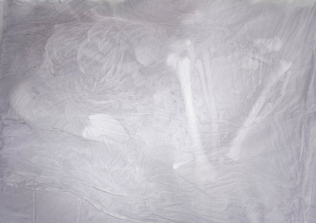 White on white (detail) 2009