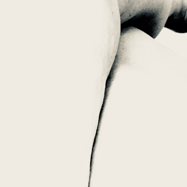 Domestic landscape 5 2020