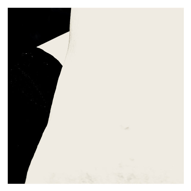 Domestic landscape 4 2020