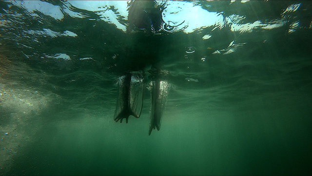 You are now entering the Anthropocene