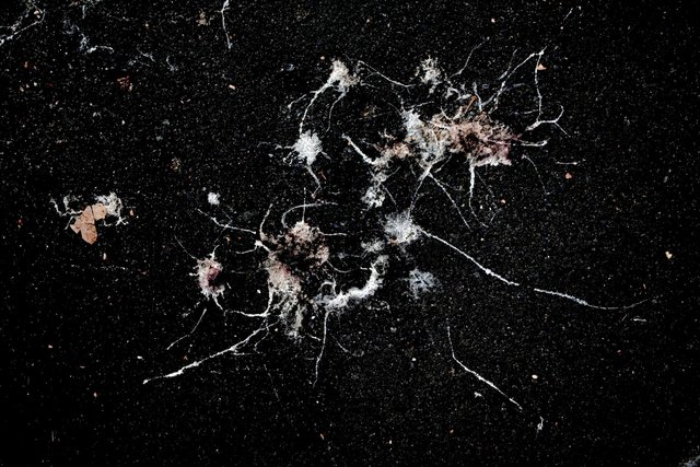 street constellations