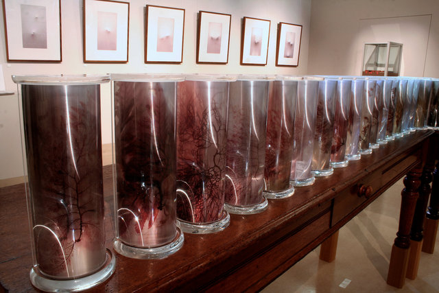 Bloodlines (installation view)