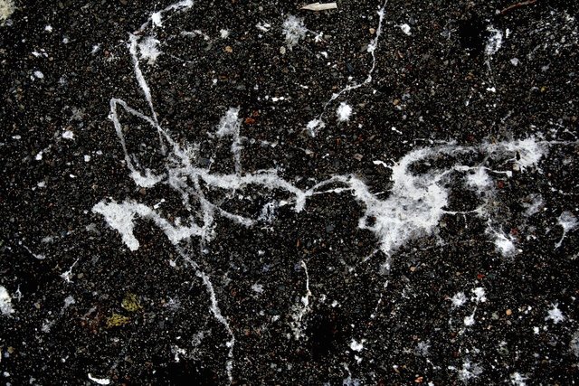 street constellations