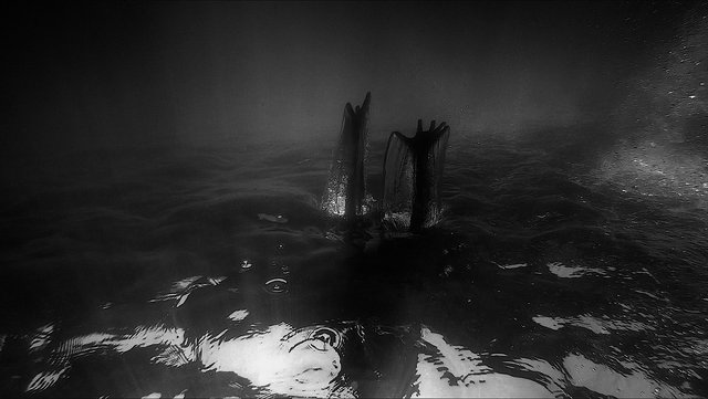 You are now entering the Anthropocene