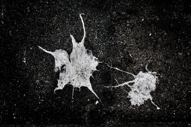 street constellations