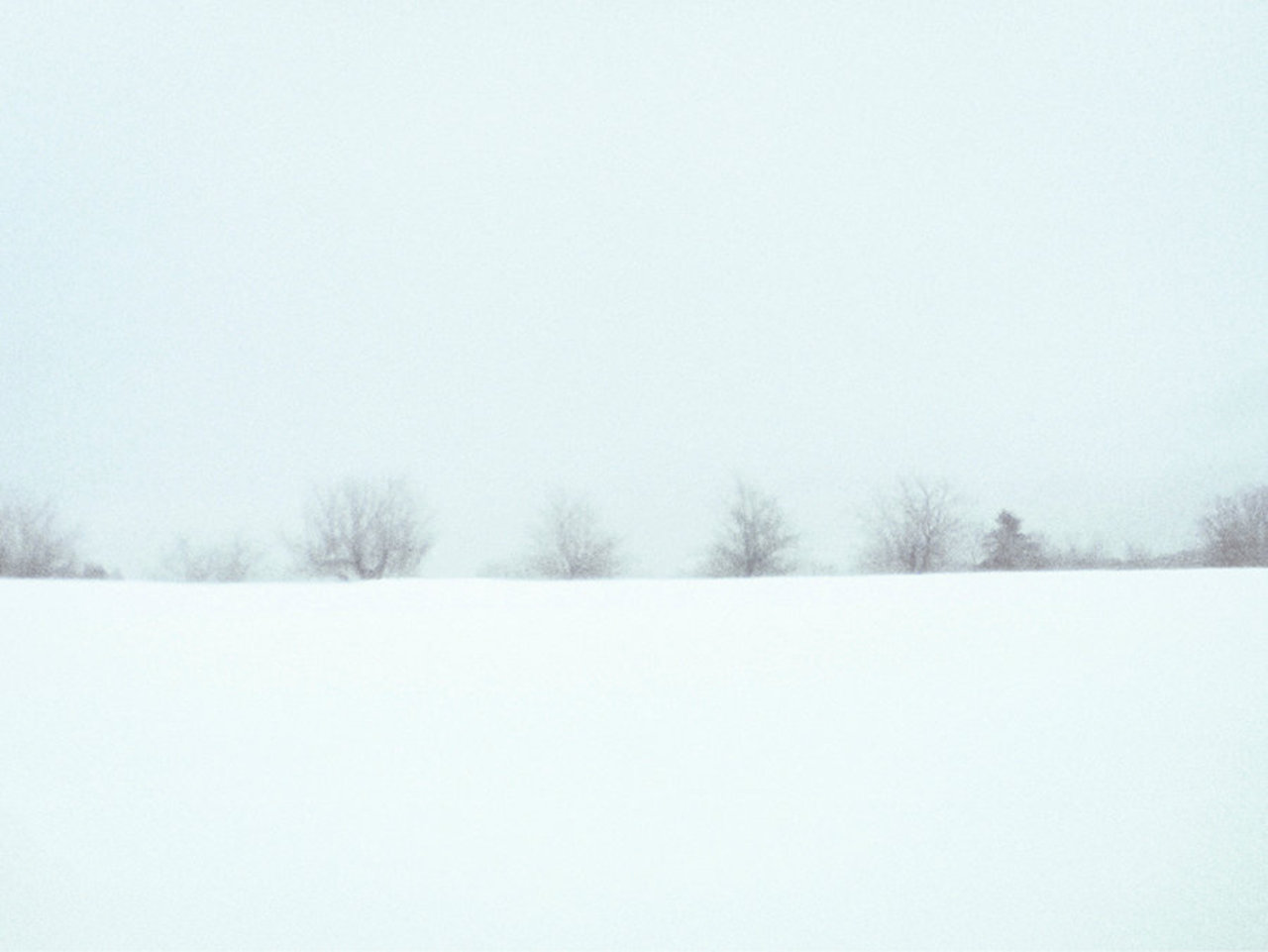 Vaune Trachtman Cell Phone Photography