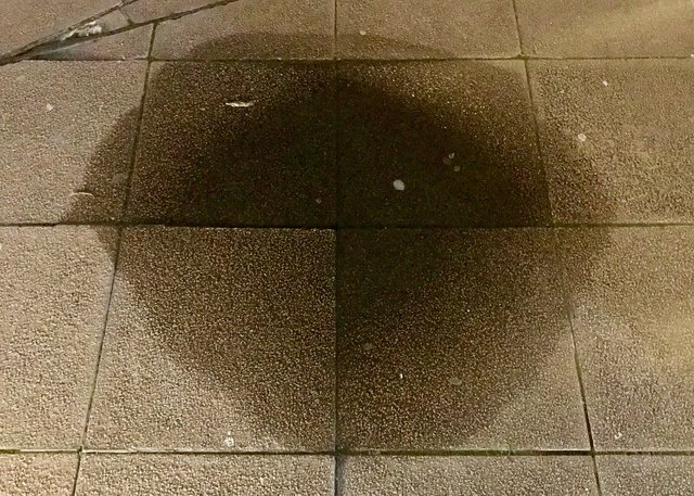 Southbank Puddle, 2021.jpg